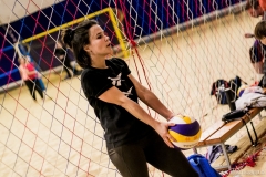 photo_00203