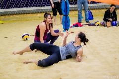 photo_00243