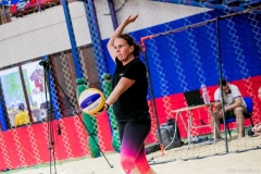 photo_00261