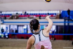 photo_00351