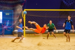 photo_00245